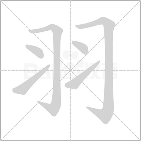 羽部的字|羽部首所有汉字